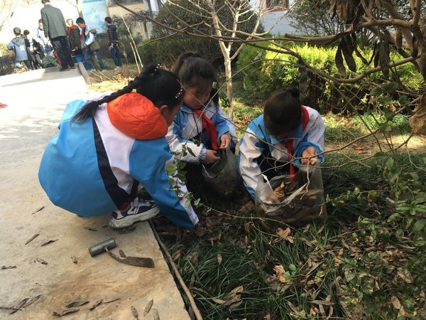 QQ图片20190311164418.jpg