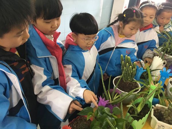 QQ图片20190311164334.jpg